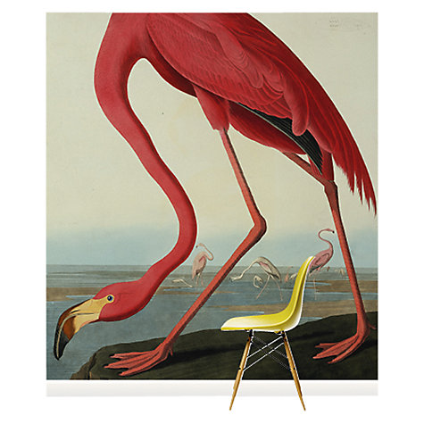 Surface View John Lewis - Greater Flamingo Wall Mural, £300
