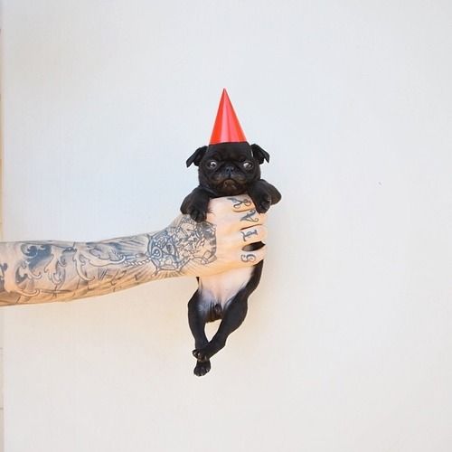 4b21a2f5aa3ec7b28f11ff92326aa2bd