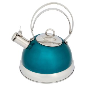 Stove Top Stainless Steel Kettle in Teal, £15 from Wilko