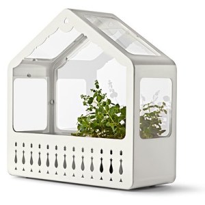 Mini Greenhouse, £25 from IKEA