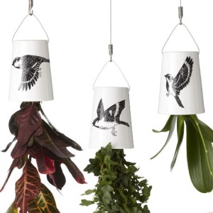 Three Birds Triple Pack Planters, £85 from boskke