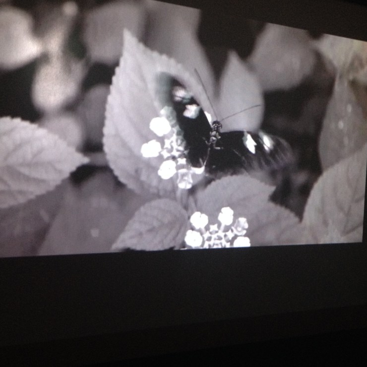 Video installation to accompany Simon Pengellys Wing dining table