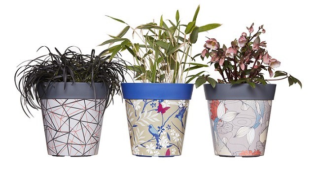 Zen Botanics collection